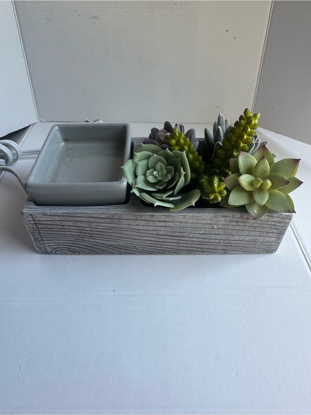 Scentsy Succulent Wax Warmer Plant Decor Boho Zen